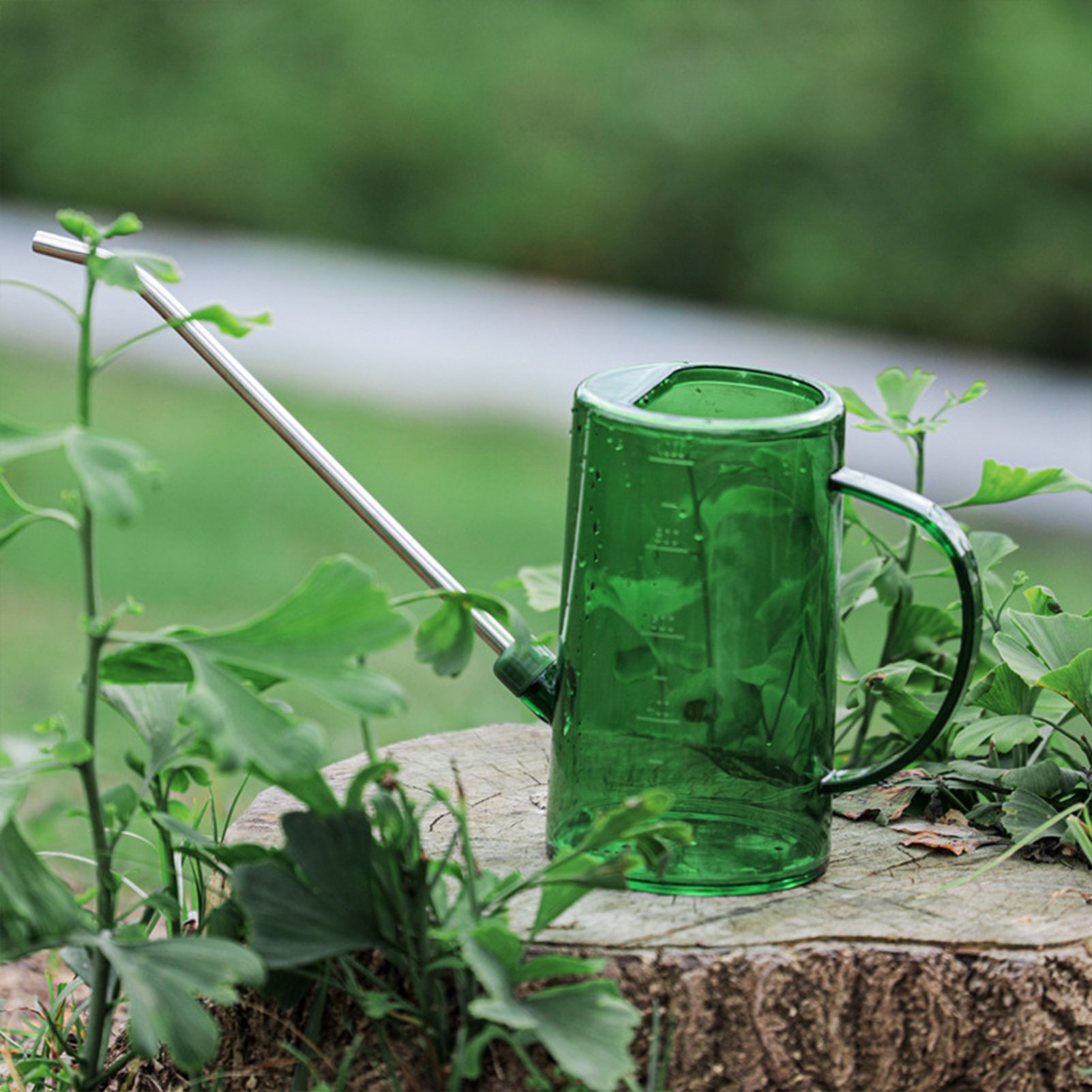 Gardening Tools For Seniors - 1L/1.5L Indoor Plants Watering Can Transparent