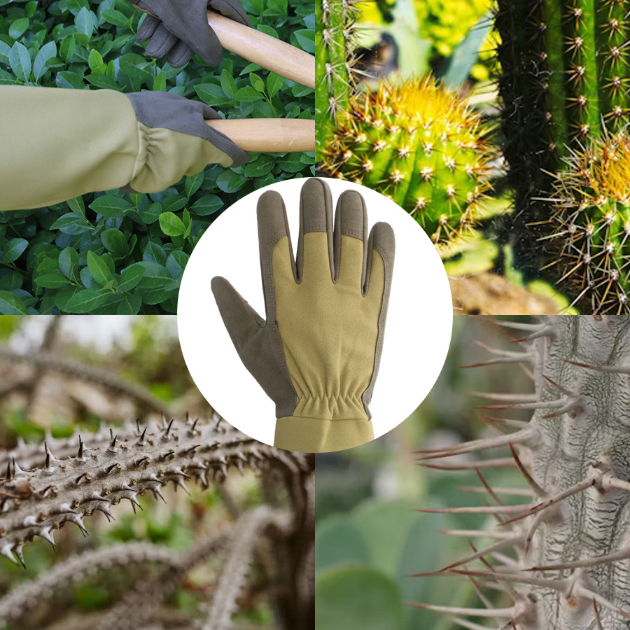 Long Style Gardening Gloves Th - Garden Gloves Thorn Proof review and price