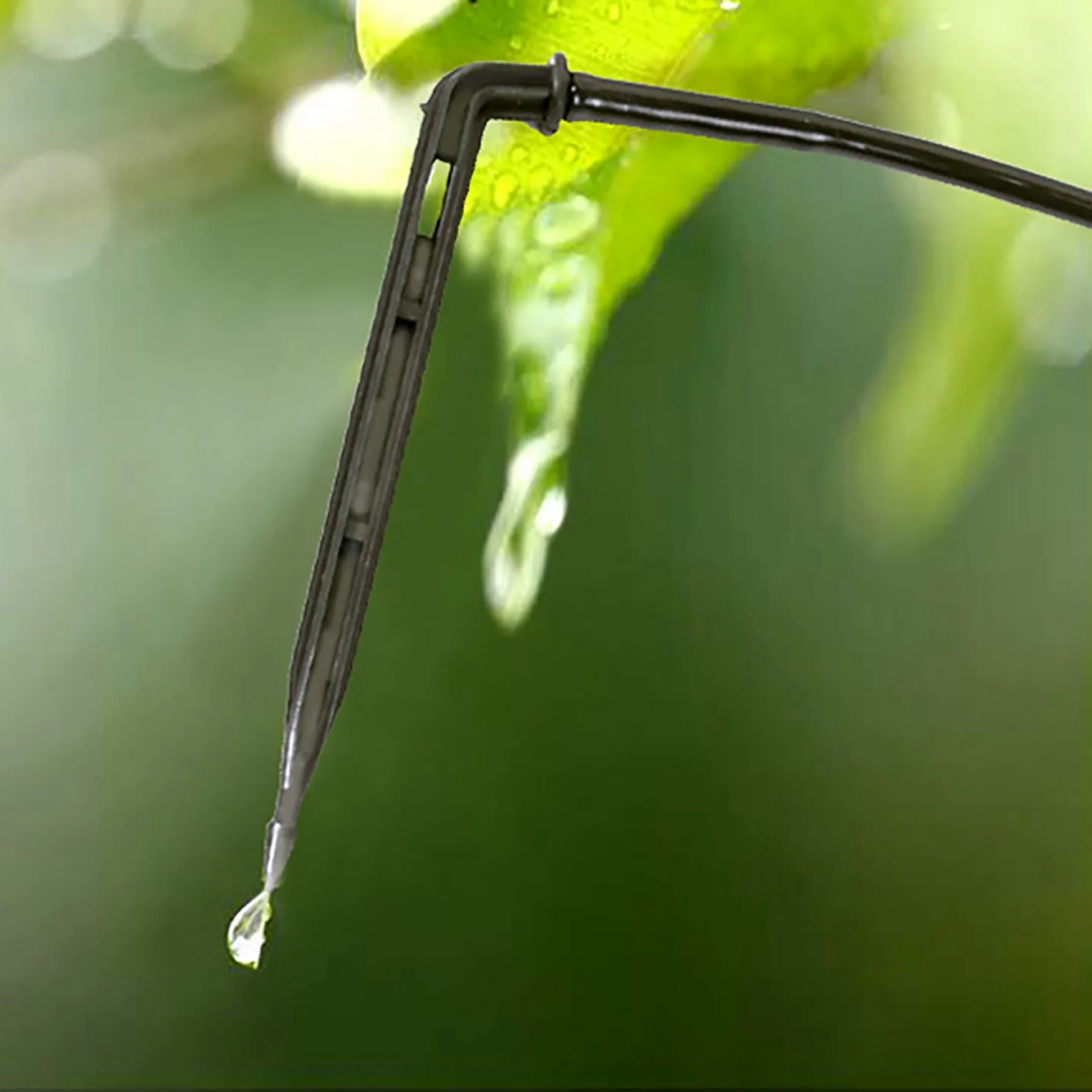 Arrow Dripper Joint Garden Irr - Gardening Tools For Seniors review and price