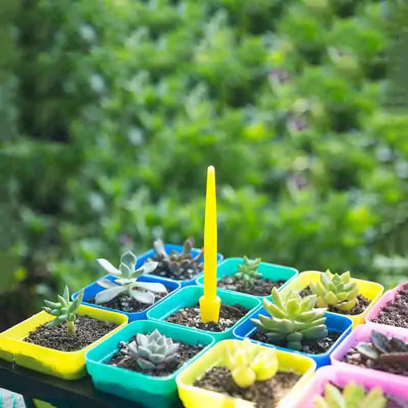 1/10Pcs Sowing Succulents Tran - Bonsai Tool Set review and price
