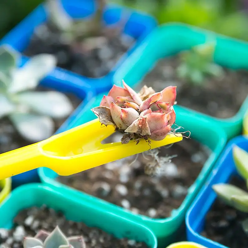 1/10Pcs Sowing Succulents Tran - Bonsai Tool Set review and price