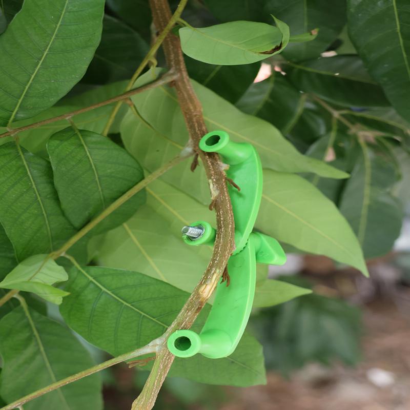 5pcs/set Tree Bending Tool Thi - Bonsai Tool Set review and price
