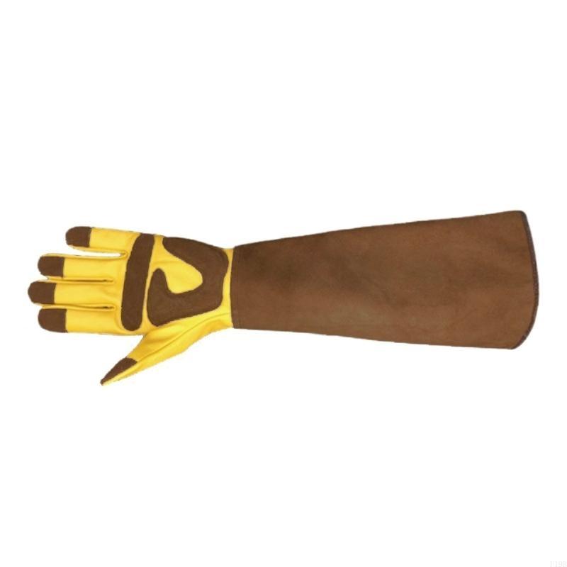 F19B 1 Pair Long Gardening Glo - Garden Gloves Thorn Proof review and price
