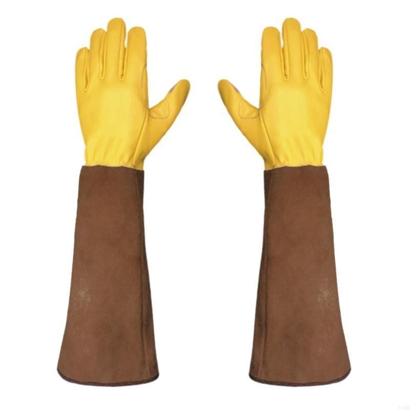 F19B 1 Pair Long Gardening Glo - Garden Gloves Thorn Proof review and price