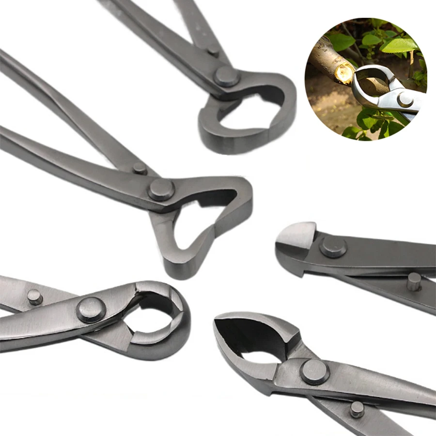 1pcs Stainless Steel Bonsai Pr - Bonsai Tool Set review and price