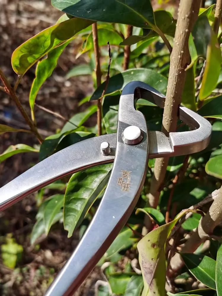Professional Bonsai Tool Set   - Bonsai Tool Set review and price