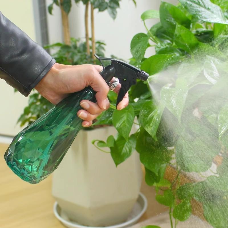 600Ml Handheld Mist Sprayer Bo - Gardening Tools For Seniors review and price