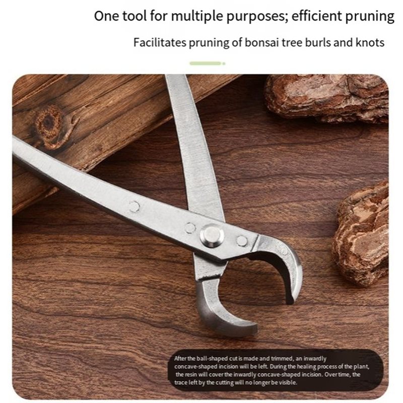 ABGH-Bonsai Tree Tools, 4 Piec - Bonsai Tool Set review and price