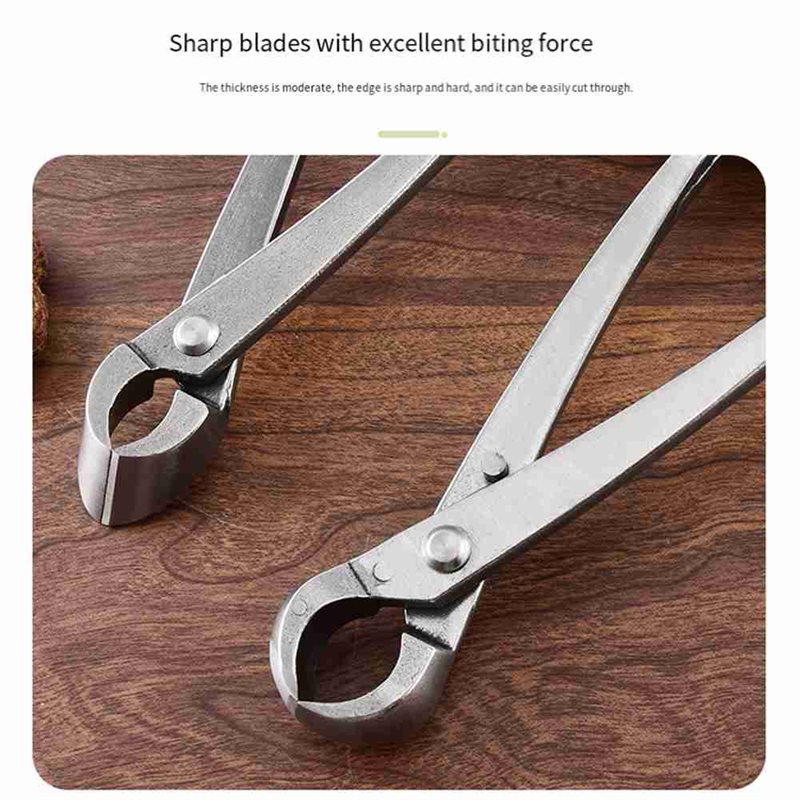 ABGH-Bonsai Tree Tools, 4 Piec - Bonsai Tool Set review and price