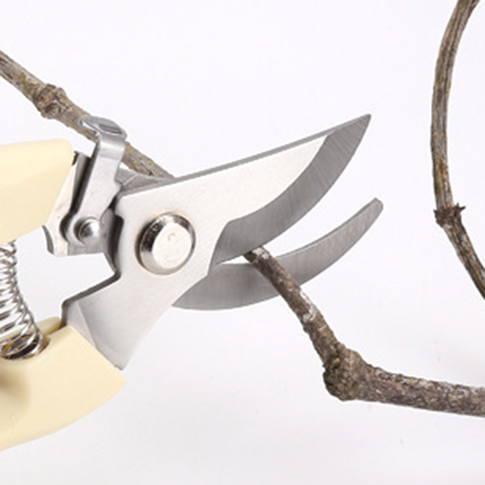 Pruner Shears Hand Tools Bonsa - Bonsai Tool Set review and price