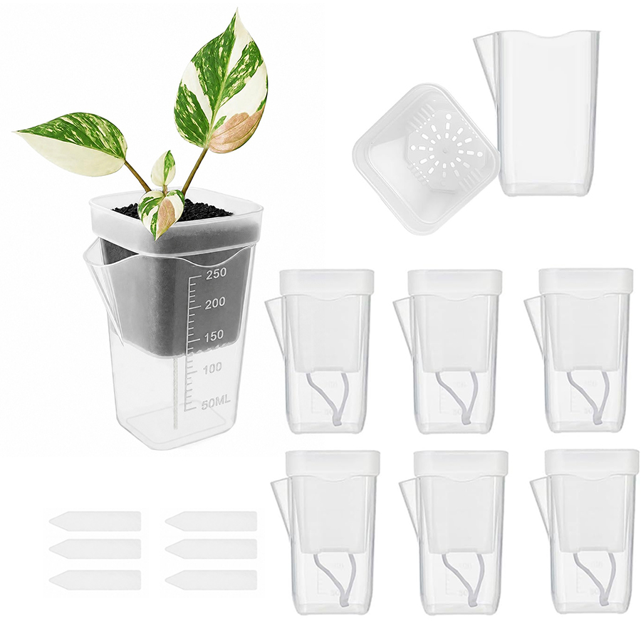 12/24PCS Self Watering Succule - Gardening Tools For Seniors review and price