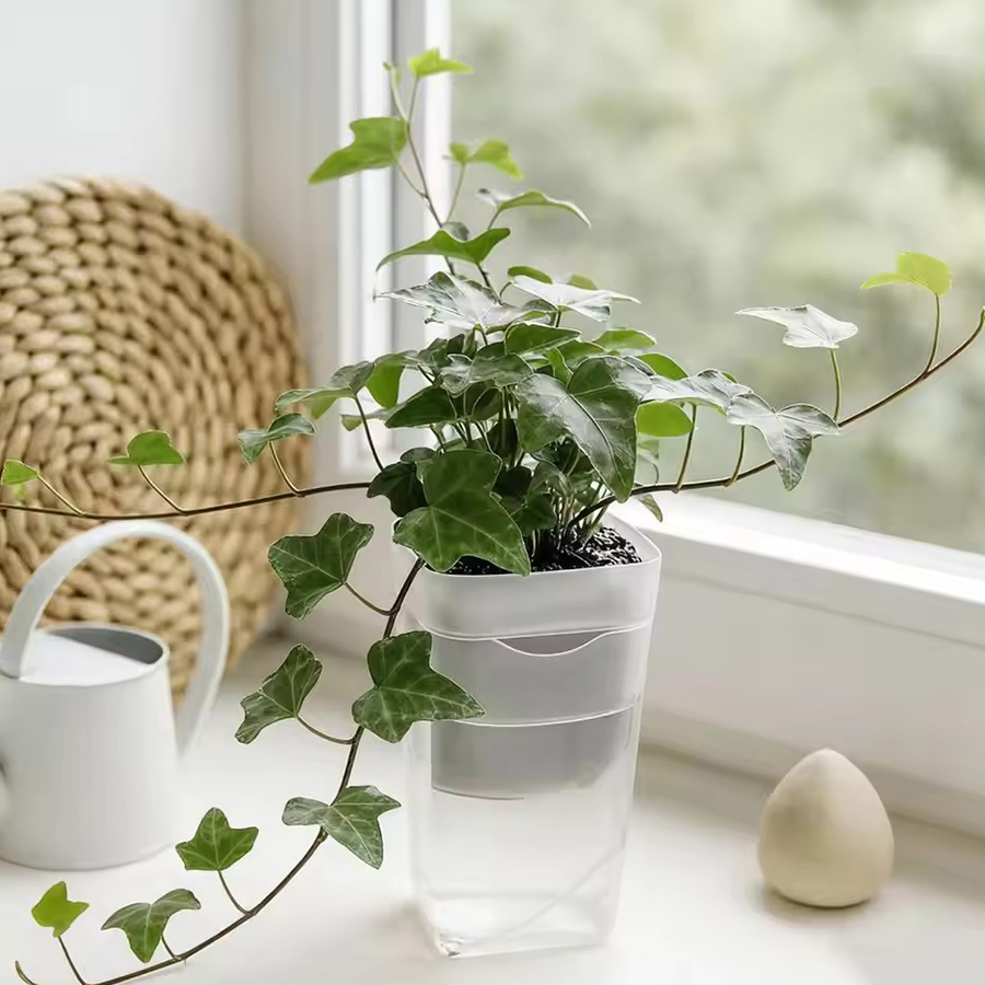 12/24PCS Self Watering Succule - Gardening Tools For Seniors review and price