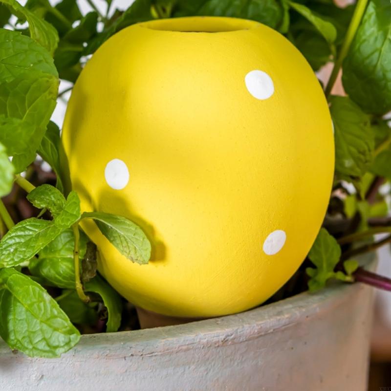 Ceramic Auto Watering Spikes F - Gardening Tools Description review and price